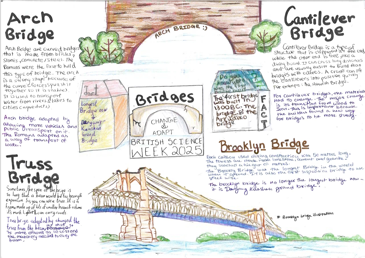 Collation of drawings from students