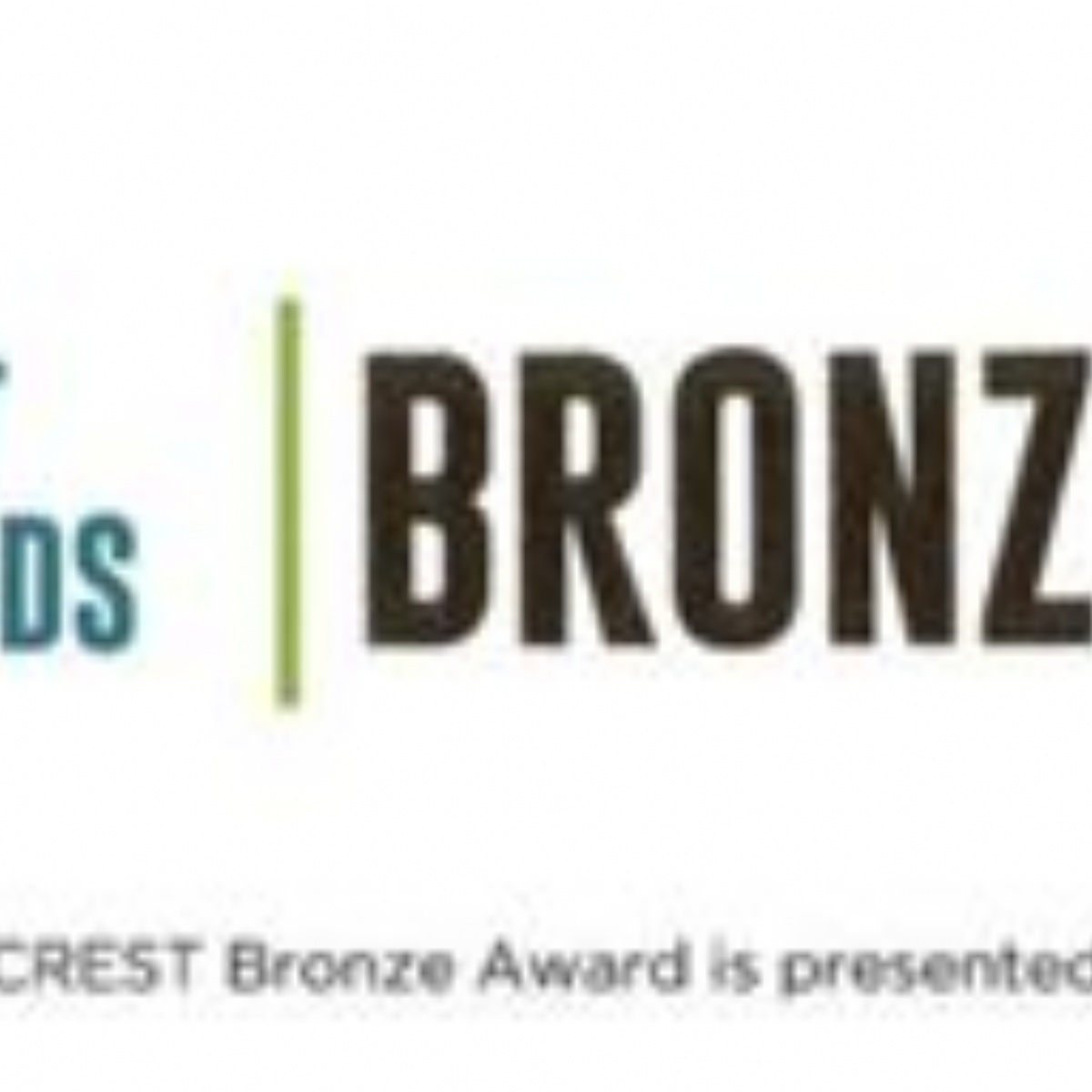 North Cestrian School - Character News - Bronze Crest Award